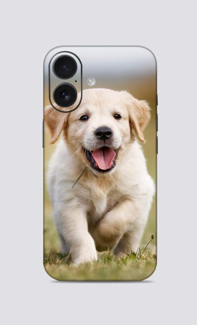 iPhone 16-  Baby Labrador Mobile Skin